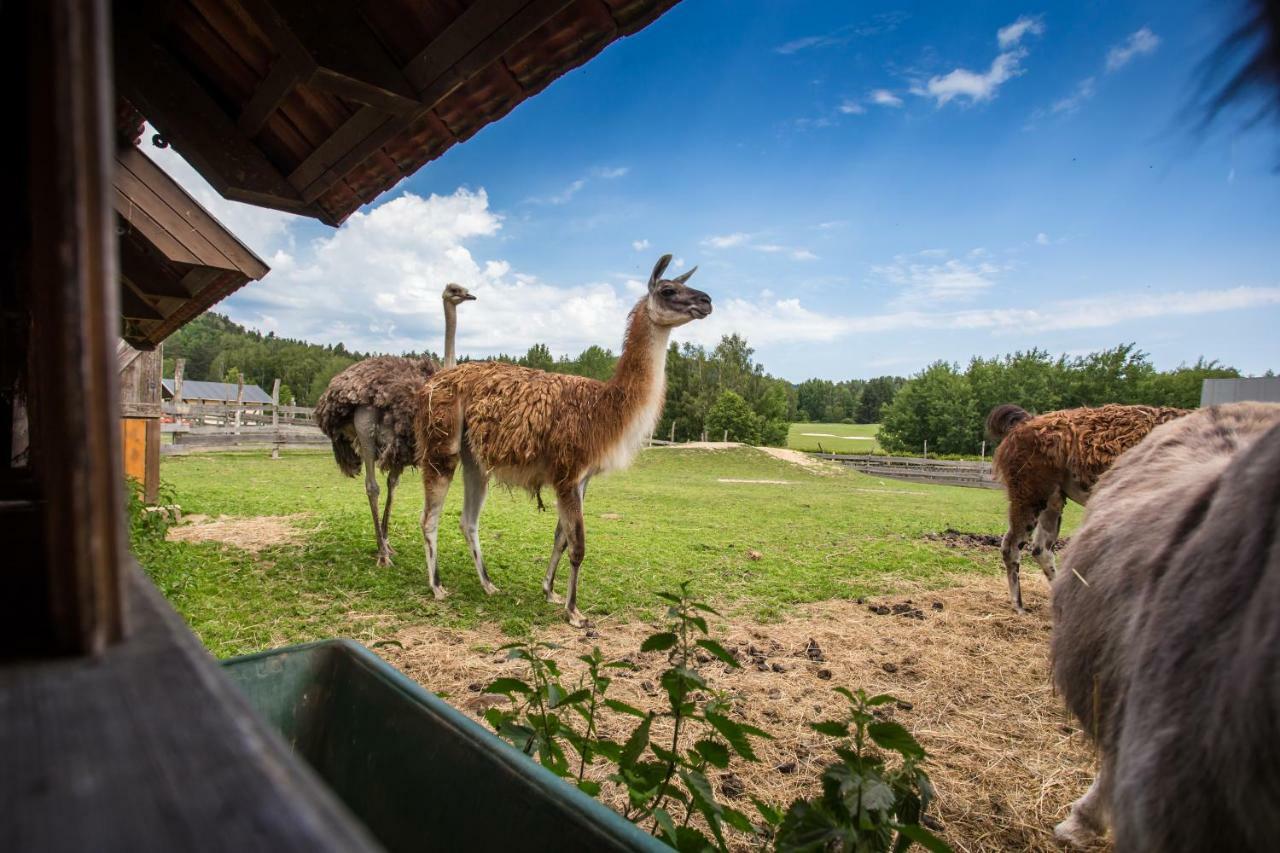 Resort Malevil Jablonne v Podjestedi Екстер'єр фото